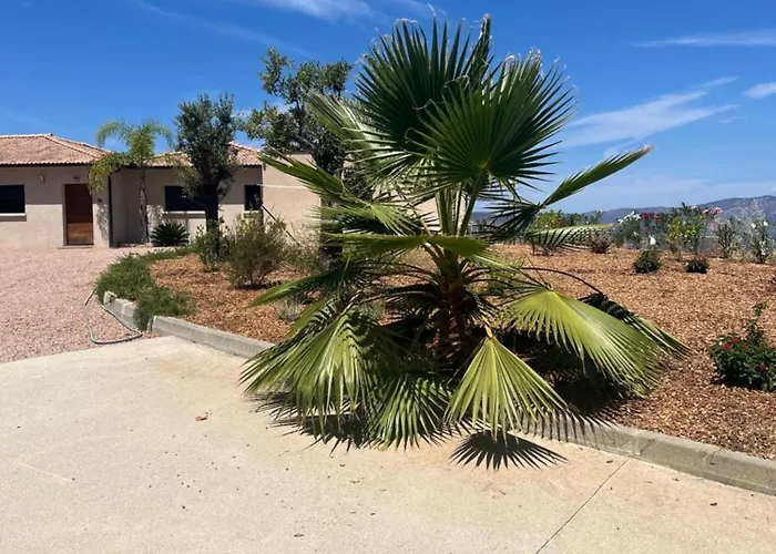 De Luxe Avec Piscine A Debordement Chauffee A Villa Porticcio (Corsica)